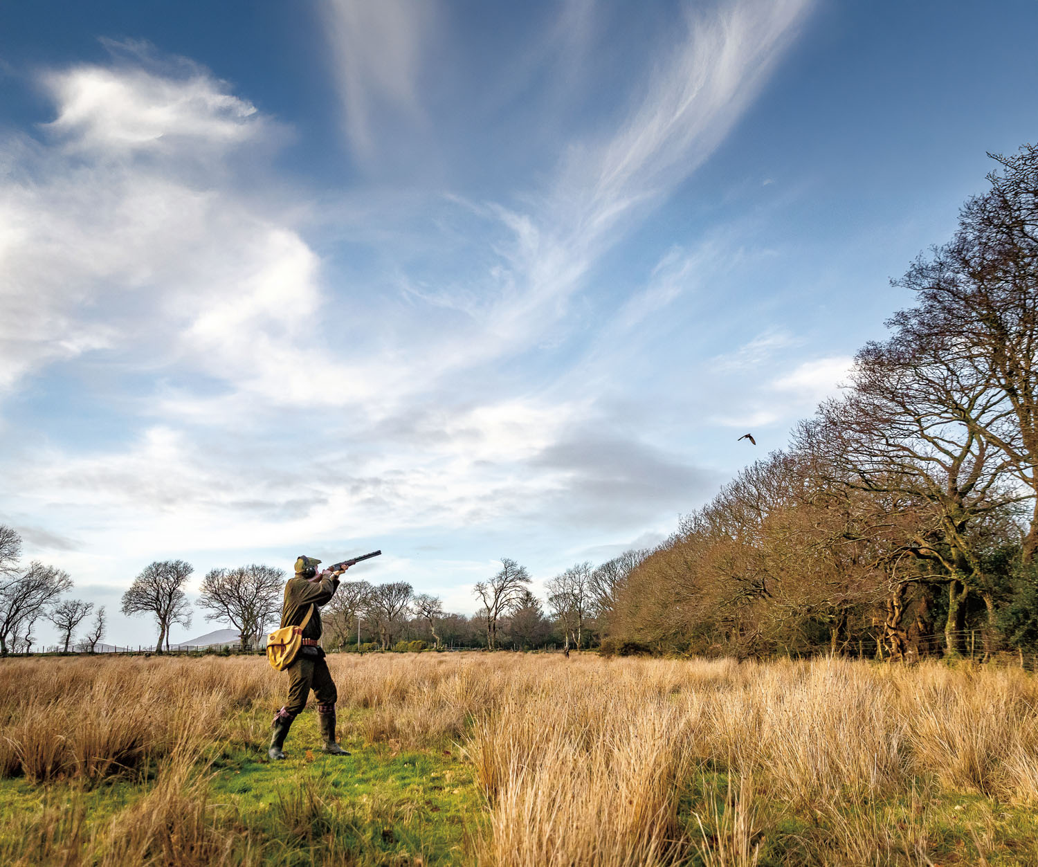 Walking up woodcock and snipe in the Welsh wetlands 