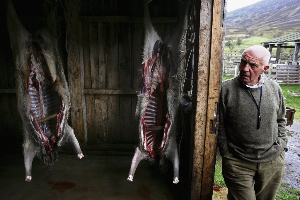 Sporting rates relief restored for deer forests