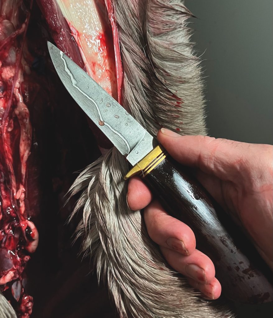 Knife sale licensing plans must be axed