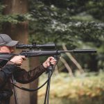 Government unveils deer strategy to tackle woodland damage