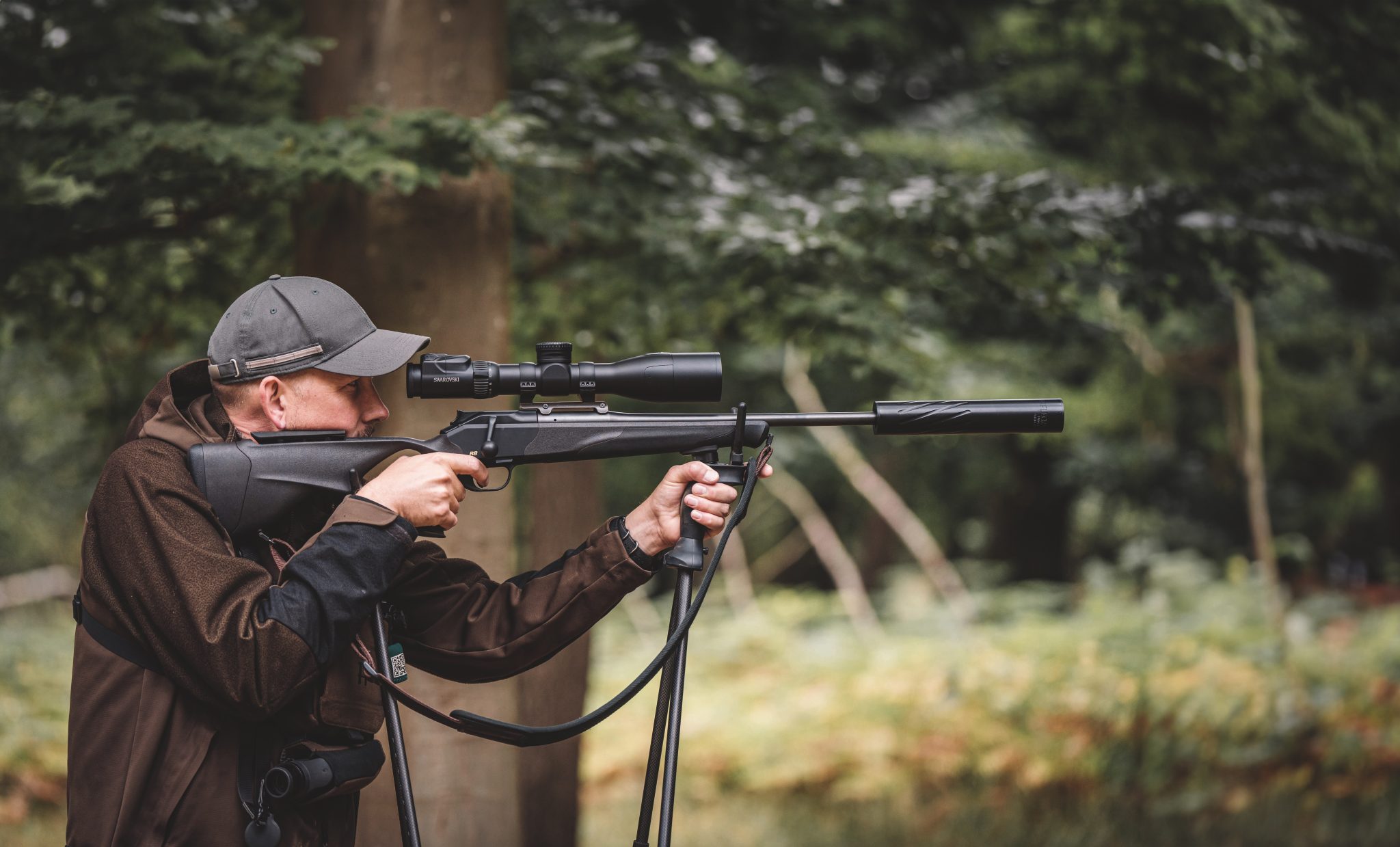 Government unveils deer strategy to tackle woodland damage