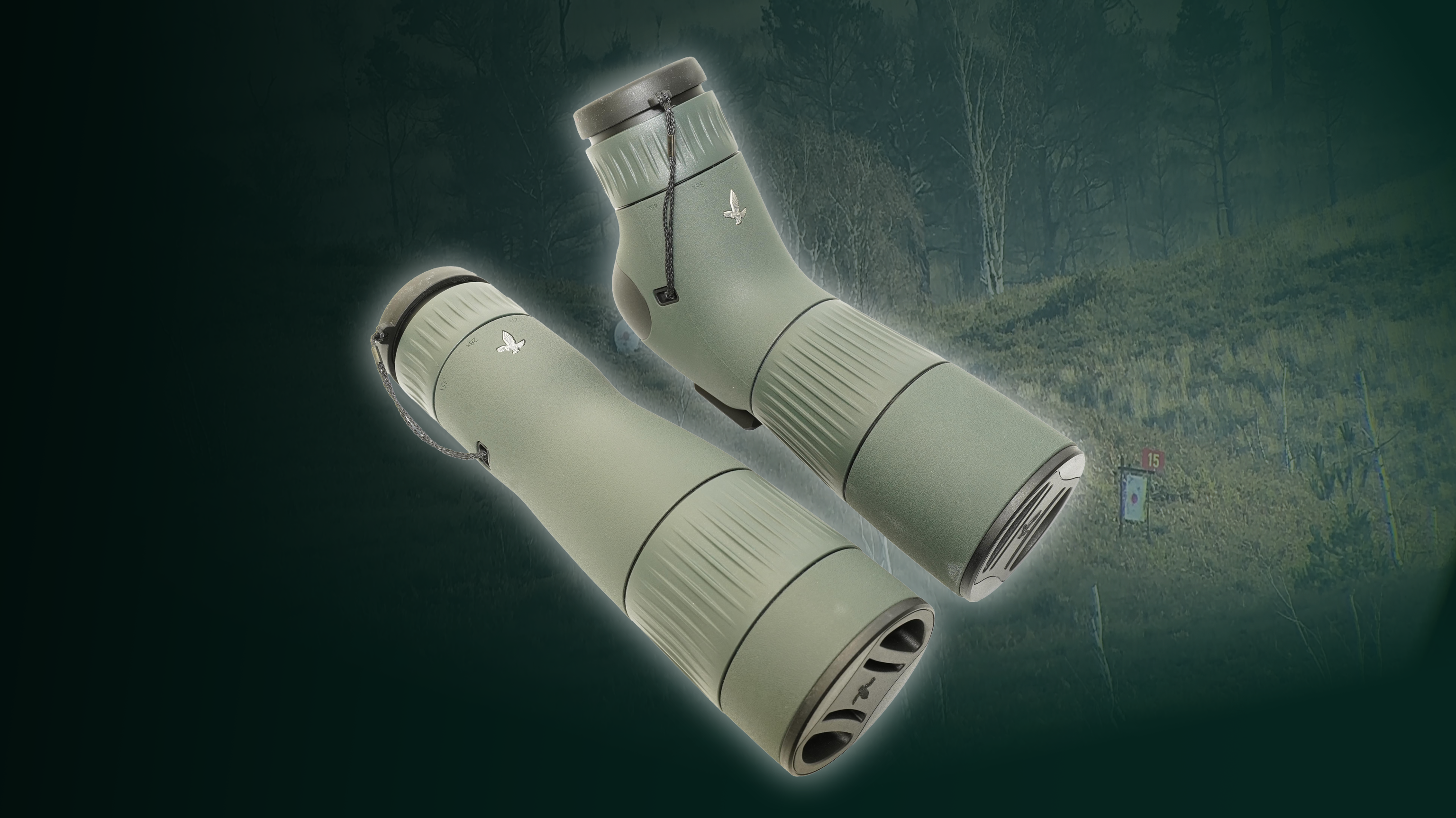 Swarovski AT vs. ST Balance: Which Model Suits Your Style?