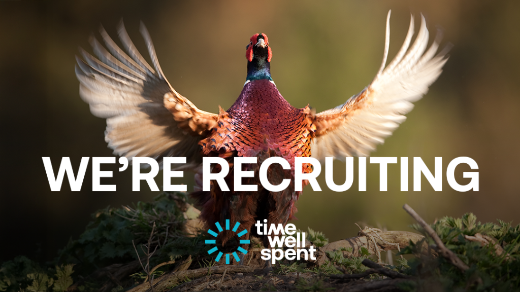 Web editor for Time Well Spent Group