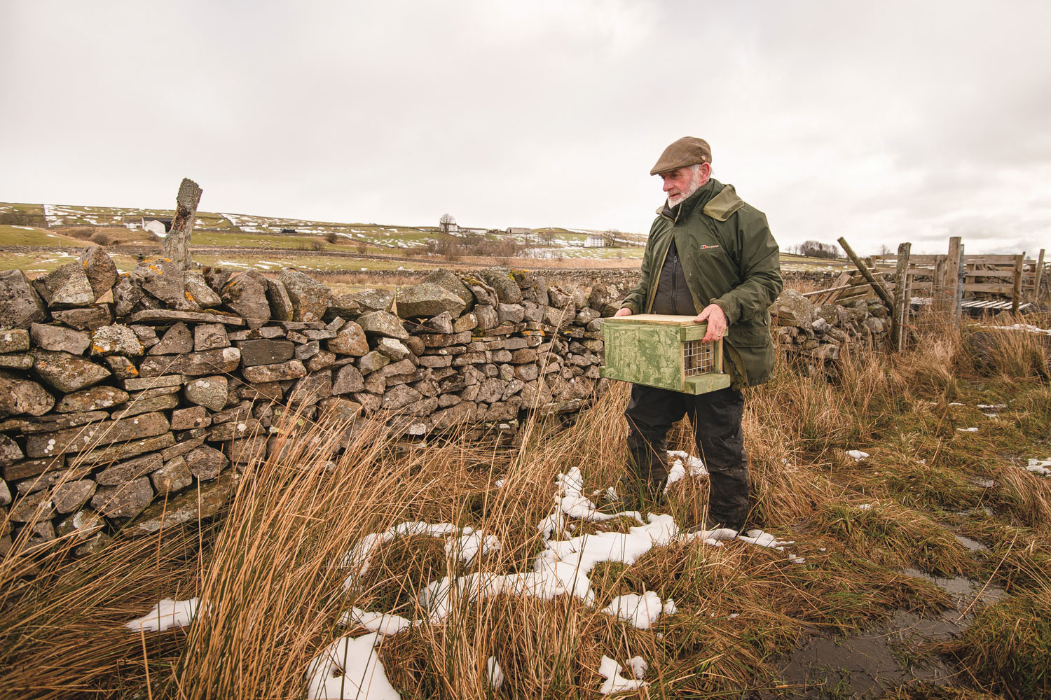 Gamekeeping traps and snares: legal predator control guide