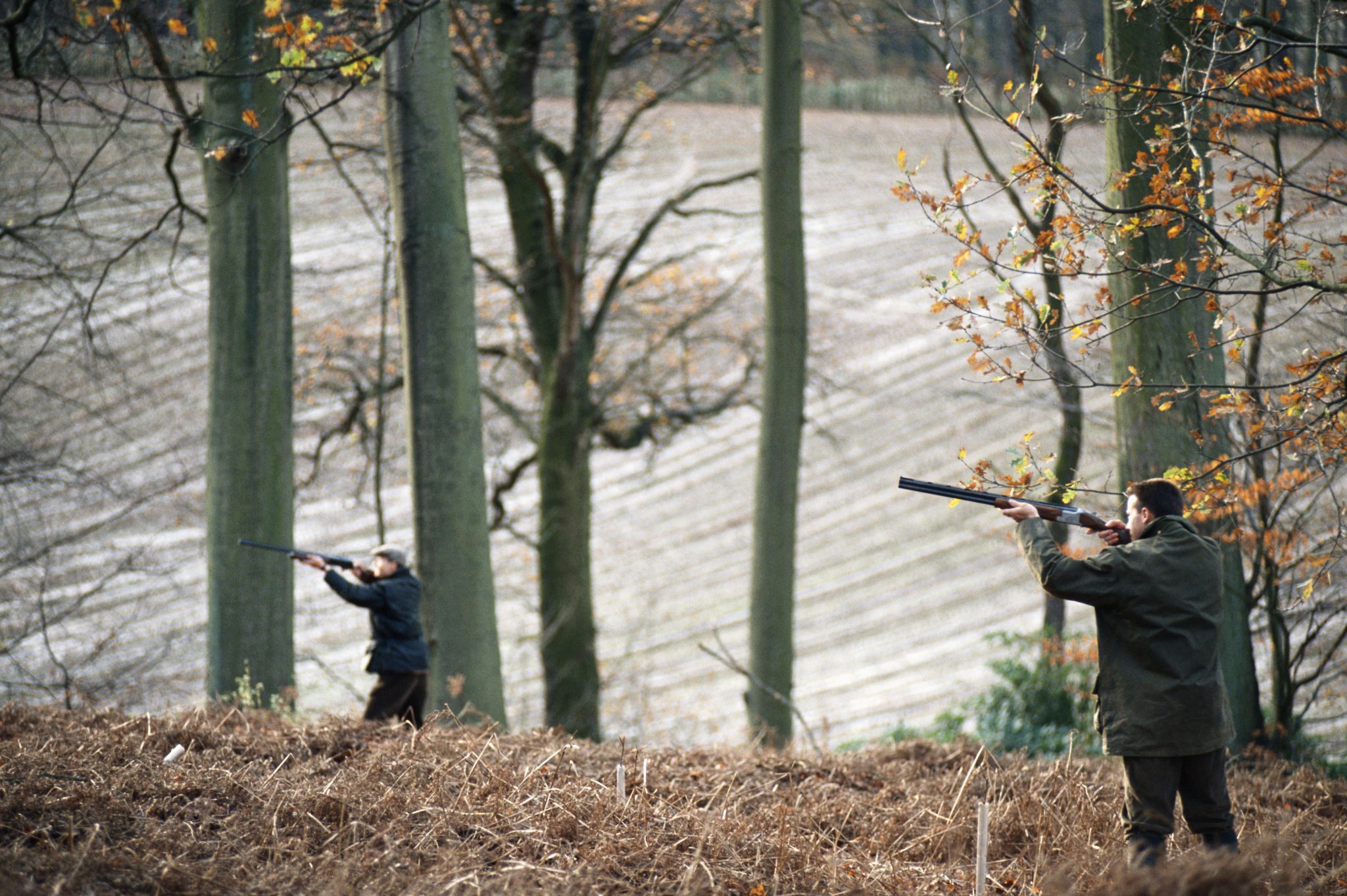 Game shooting in Defra’s crosshairs