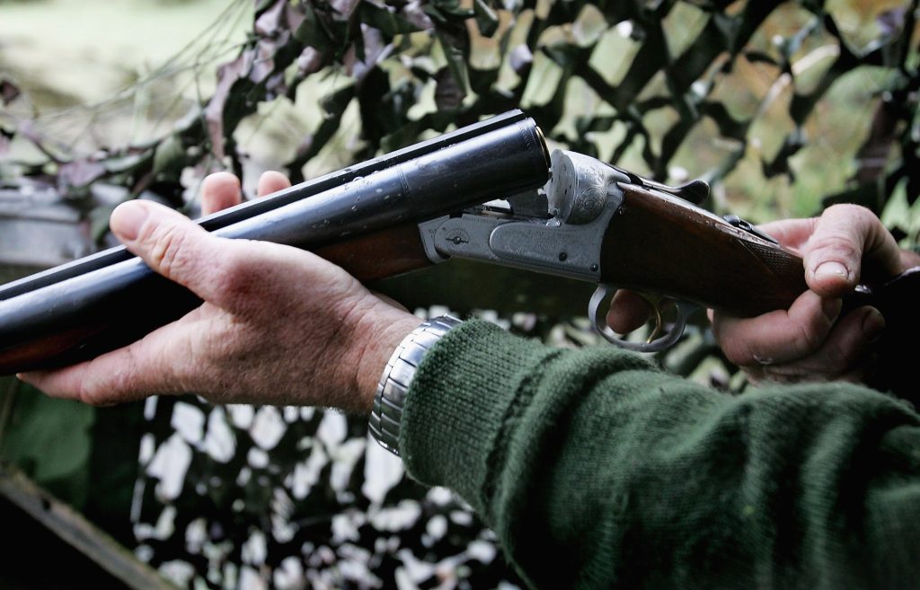 Pigeons in, ducks out – Defra moves to shorten the quarry list