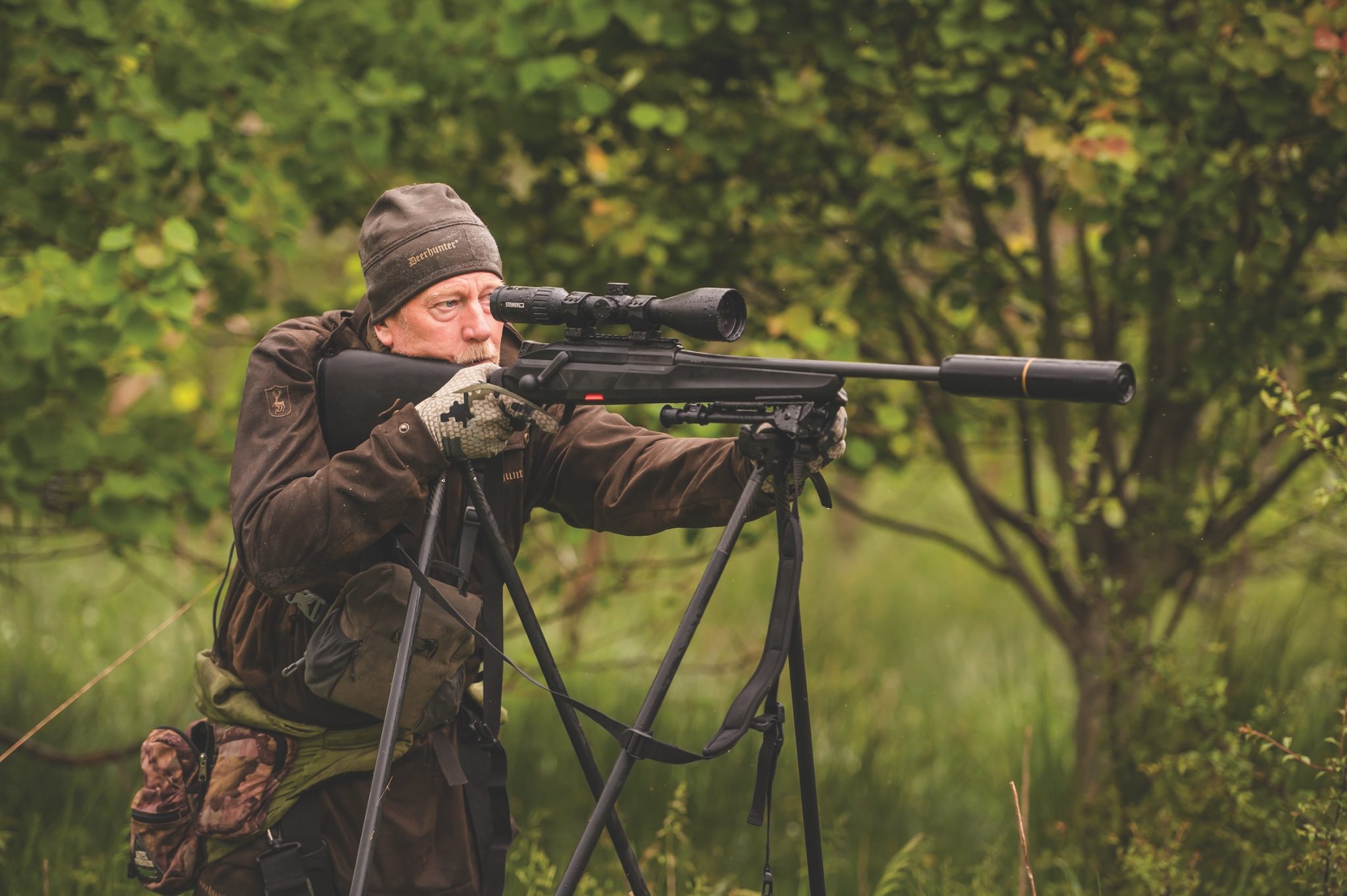 Defra’s deer policy: missed possibilities and a major worry