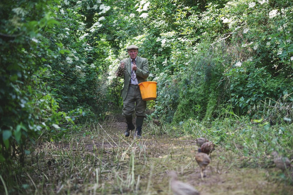 Gamekeeper feeds birds