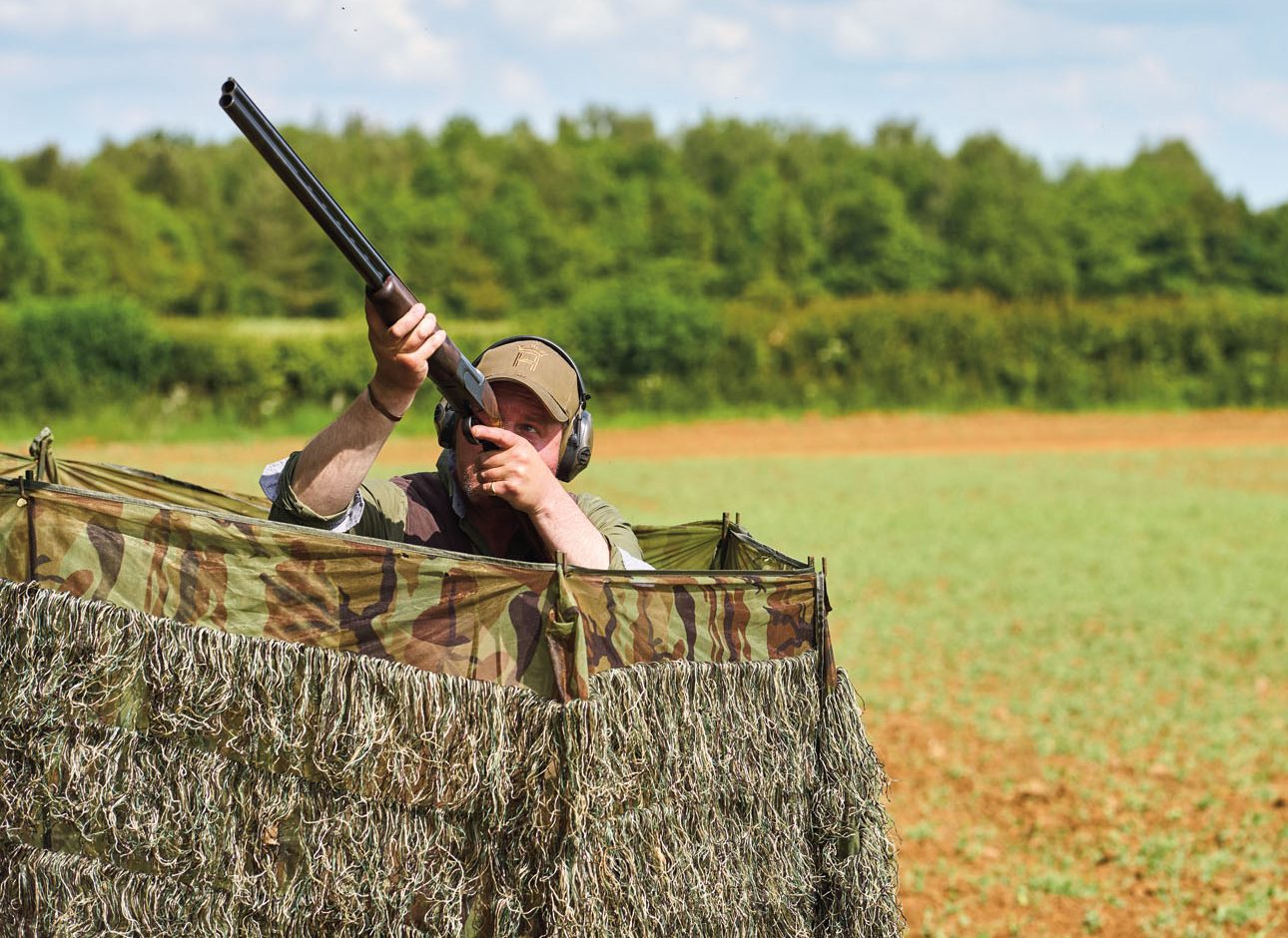 Essential gear for springtime pigeons
