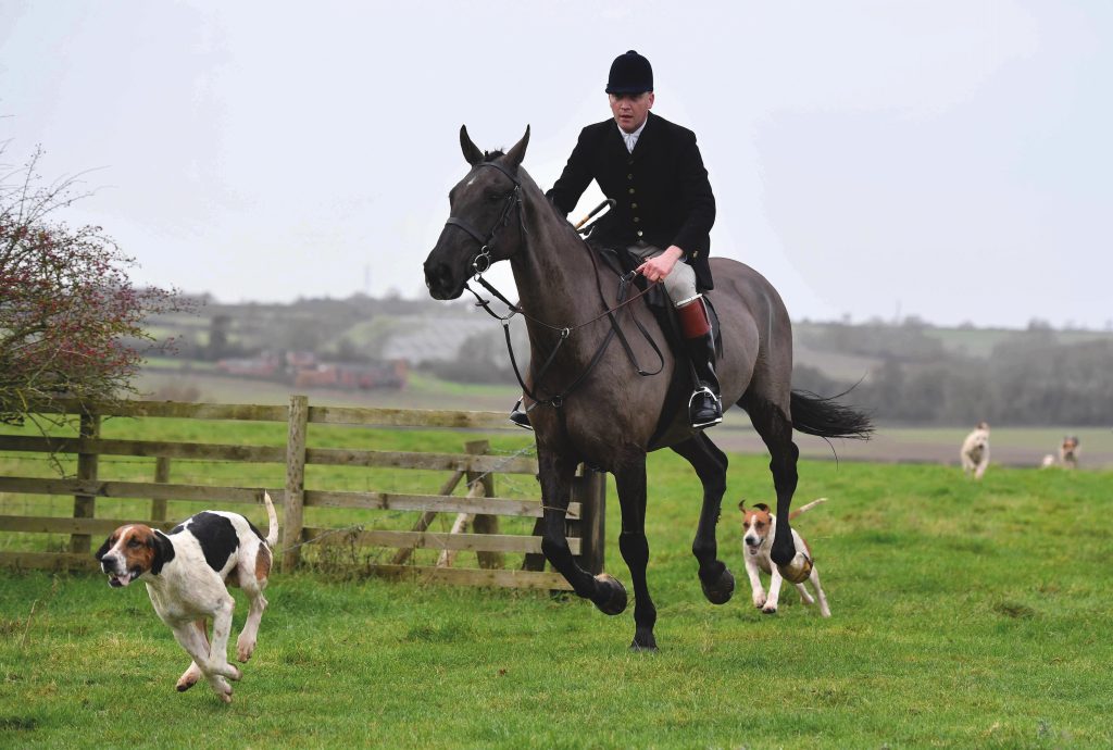 Alliance calls for rural solidarity in trail hunting consultation