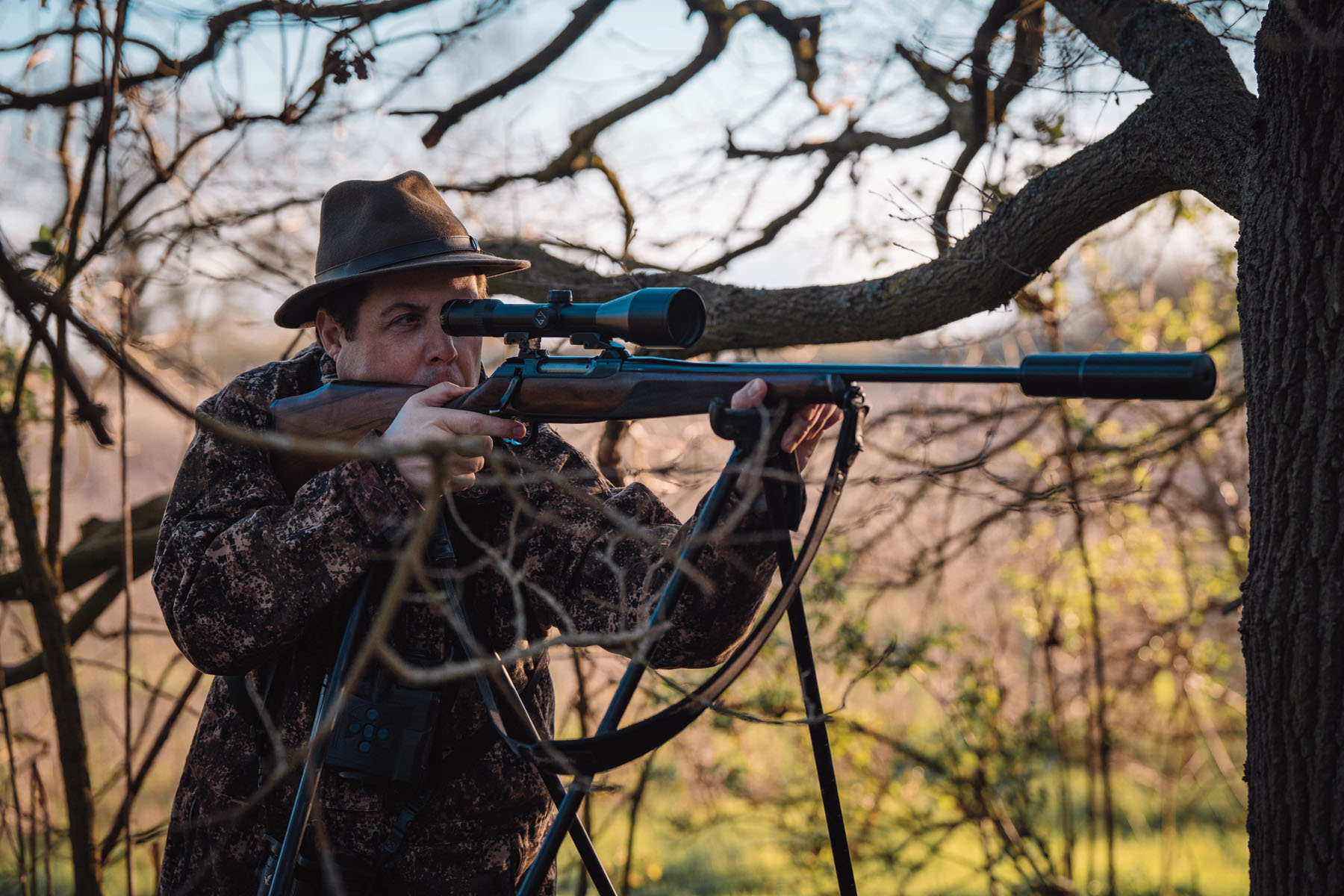 Roe doe culling: why female deer management matters