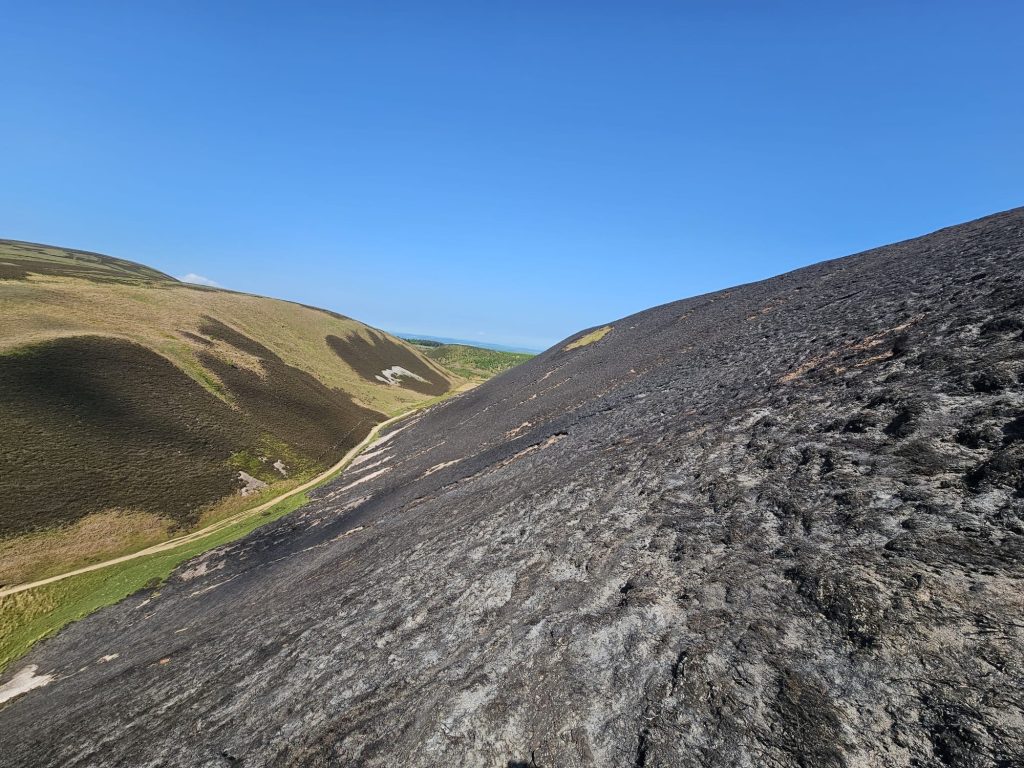 Hillside burnt