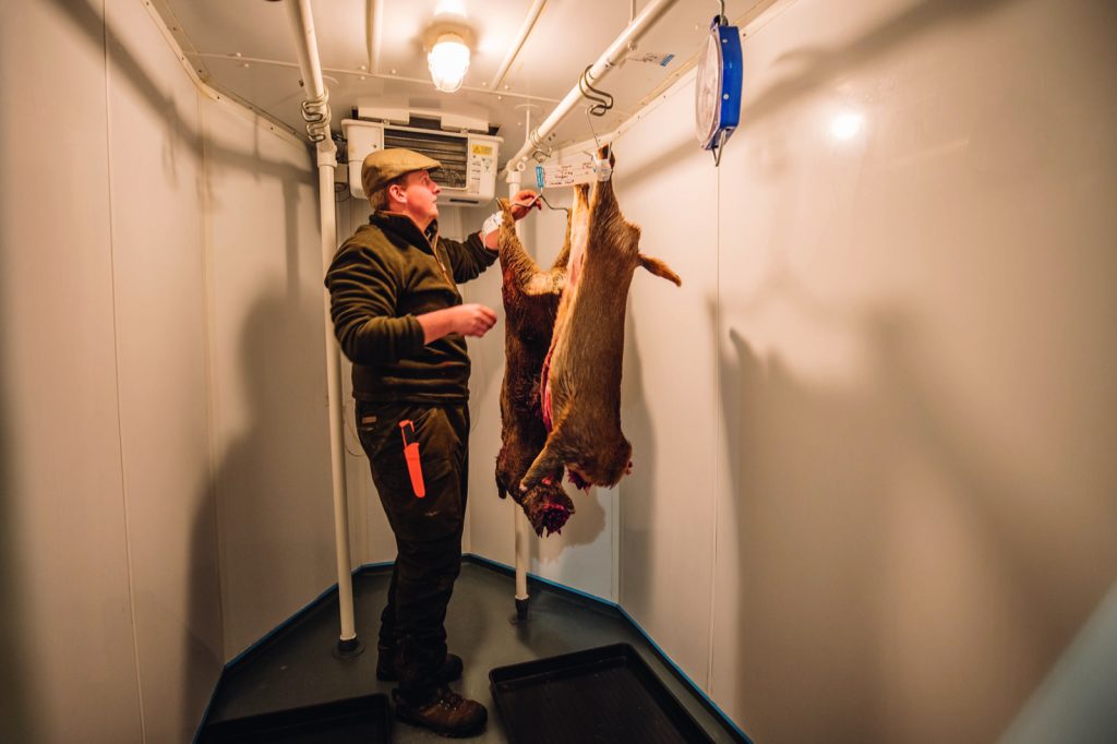 Scotland venison fund reopens to help low ground deer stalkers