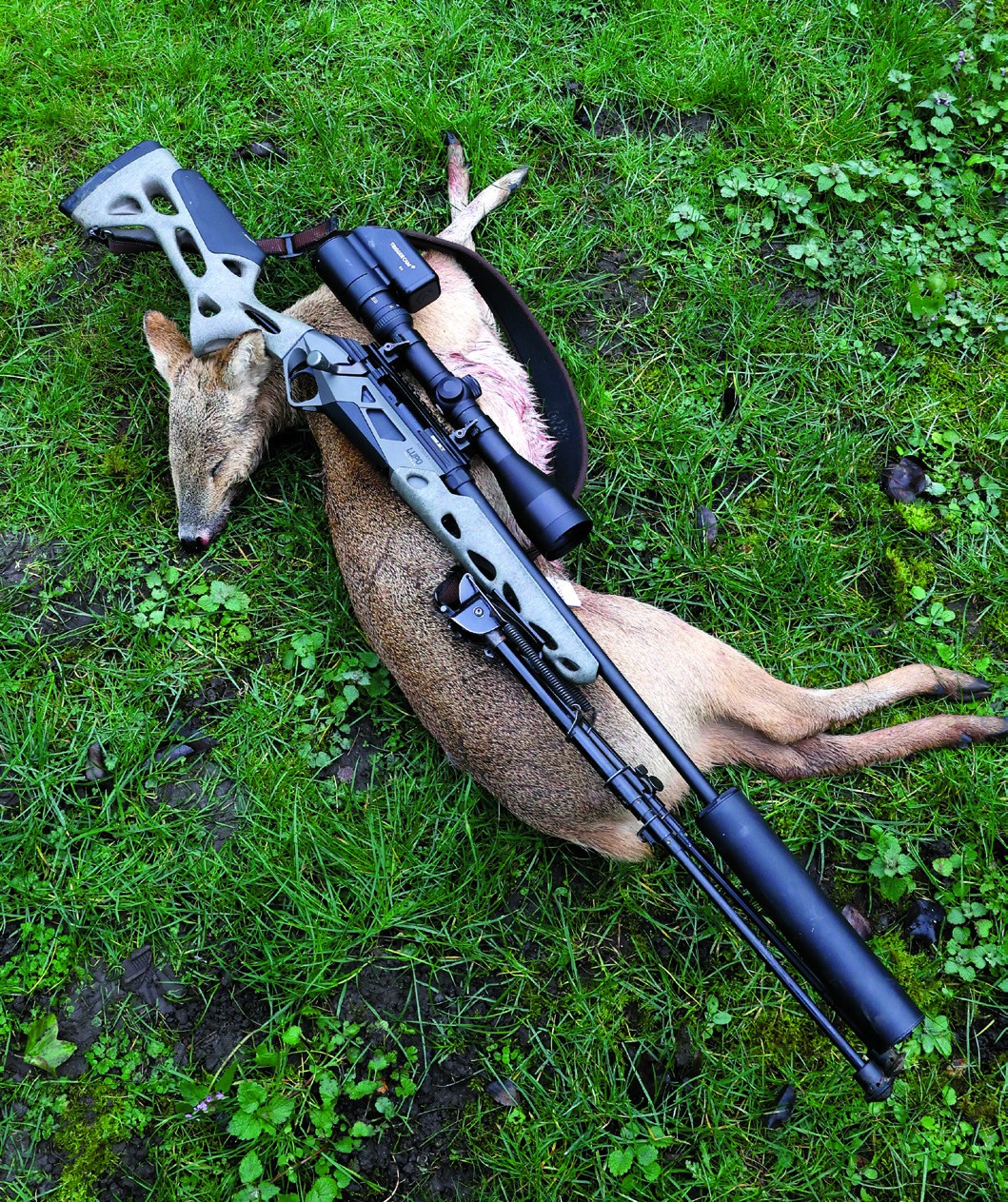 Benelli Lupo Alpha rifle beside harvested Chinese water deer doe on grass after a successful field test