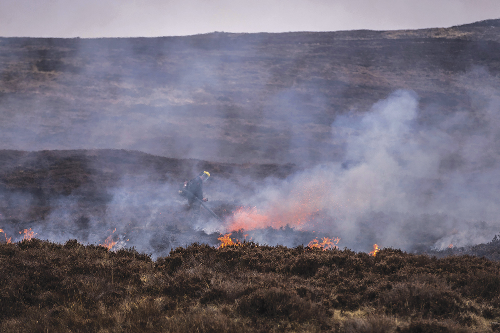 Estates press their wildfire role as Scottish muirburn licensing nears