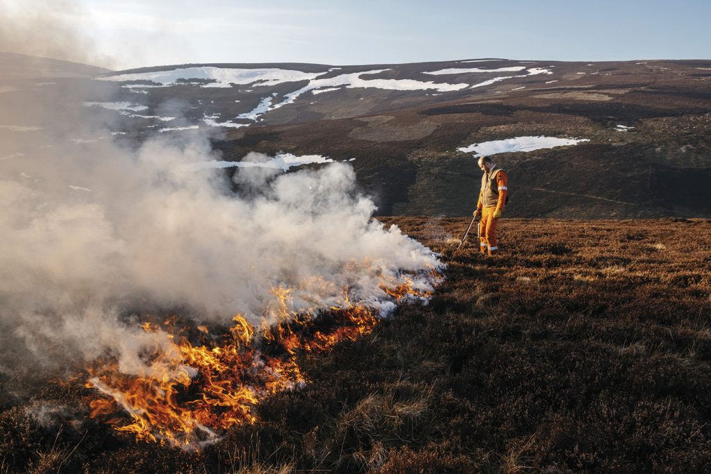 Muirburn licence required across Scotland from autumn 2026