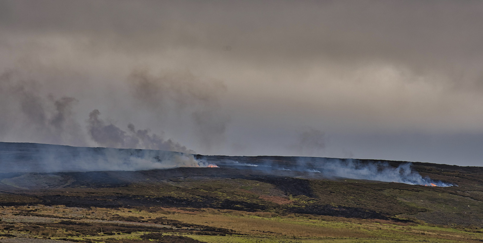Gamekeepers refuse to endorse Scotland’s new muirburn code