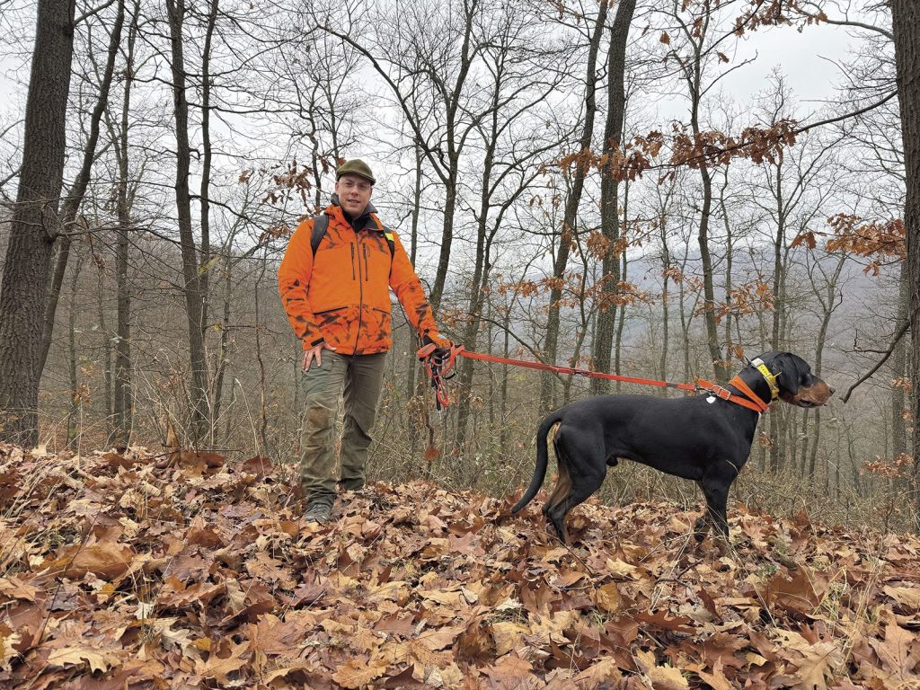 Voices in the forest: meet the Transylvanian hound