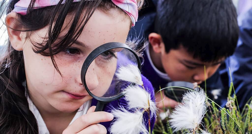 Let's Learn Moor turns 10 with 2,500 children on the moors