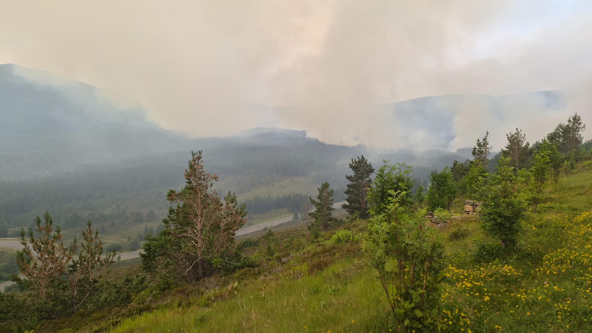 Smoke from the Cairngorms wildfire drifting across forestry and moorland near Glenmore