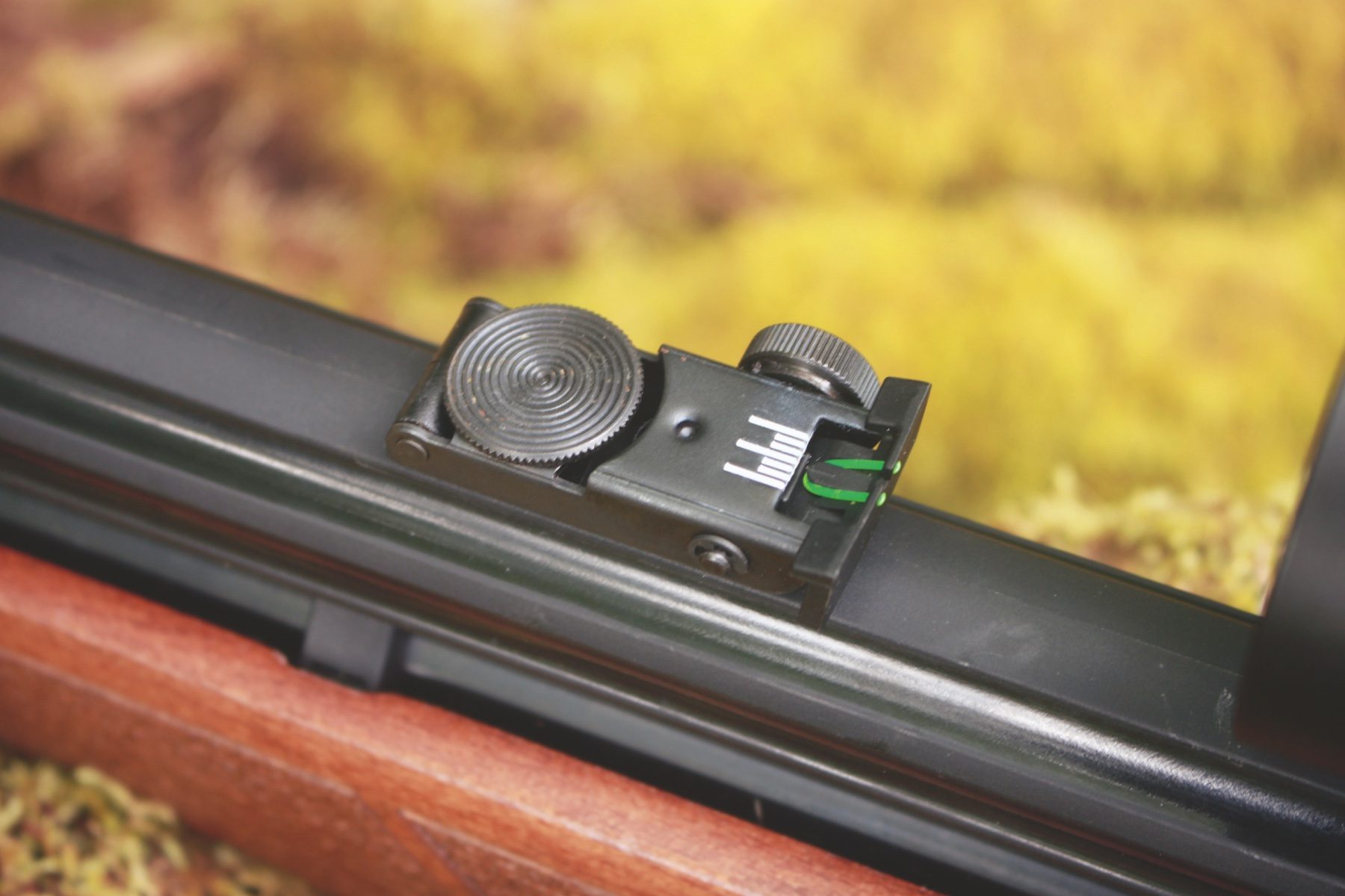 Fully adjustable rear open sight on the Gamo Riser Punisher