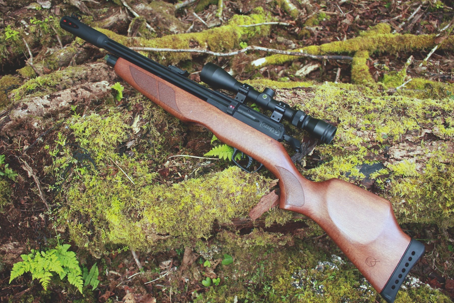 Gamo Riser Punisher PCP air rifle with 3-9x40 scope fitted, resting on a mossy log