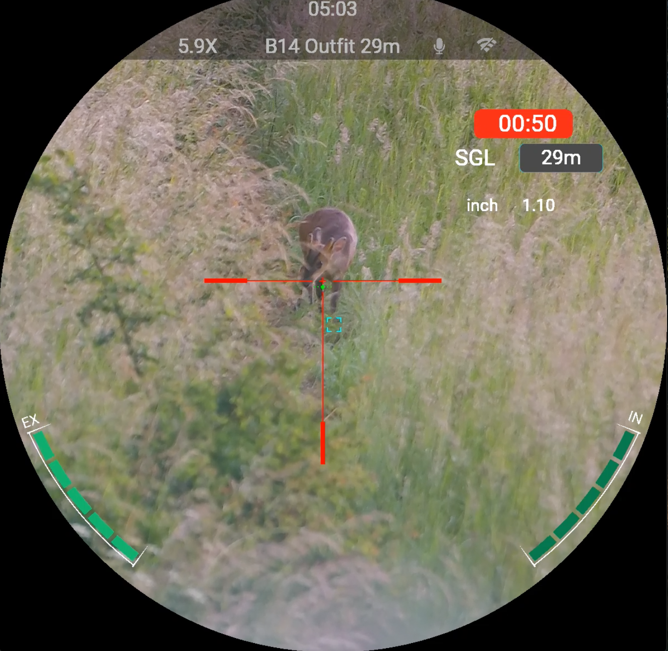 View through the Nocpix Nite D70R of a muntjac in daylight