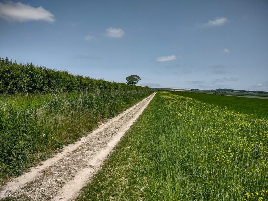 Shooting fields give a boost to UK wildlife