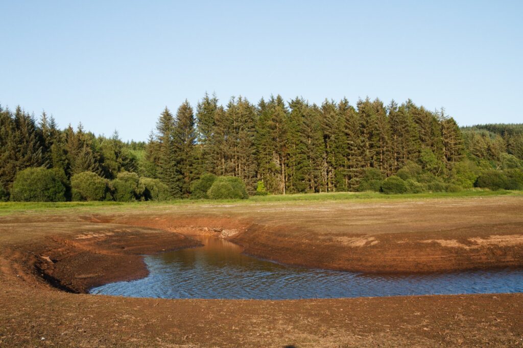 Drought declared across all of Wales as season nears