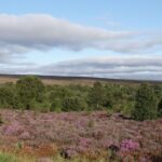 Abbeystead grouse moor doubles as a flood defence, says BASC