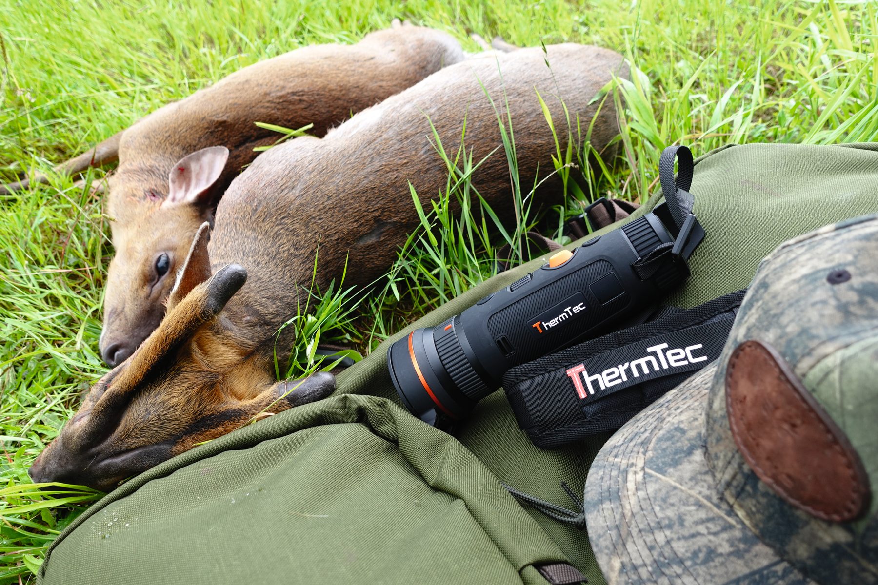 A muntjac buck and doe on a game bag beside a ThermTec thermal spotter and a cap