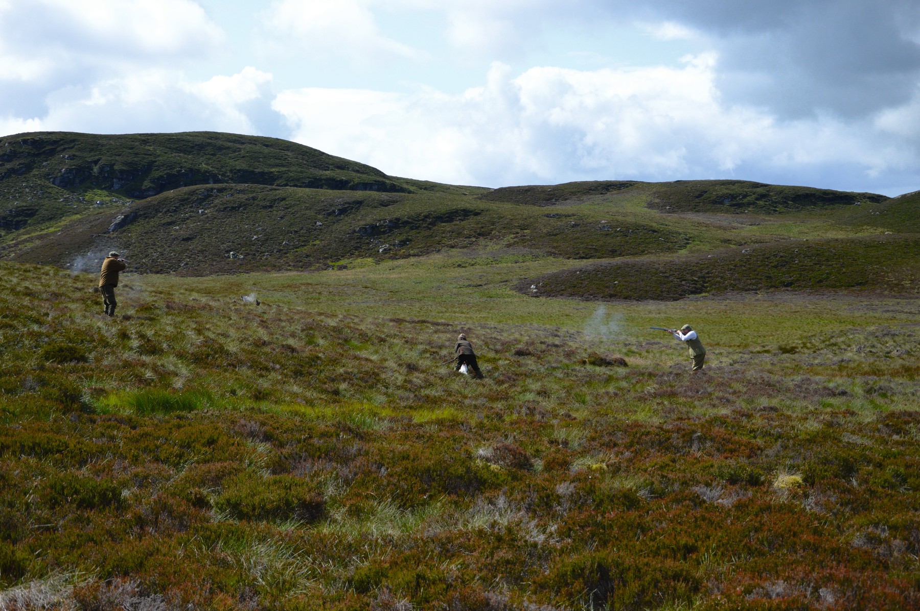 A line of Guns walking up grouse across open moorland under a broken sky