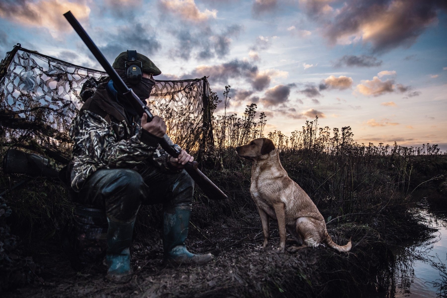 Wildfowler with shotgun and yellow labrador waiting in a net hide as the sun rises over the marsh