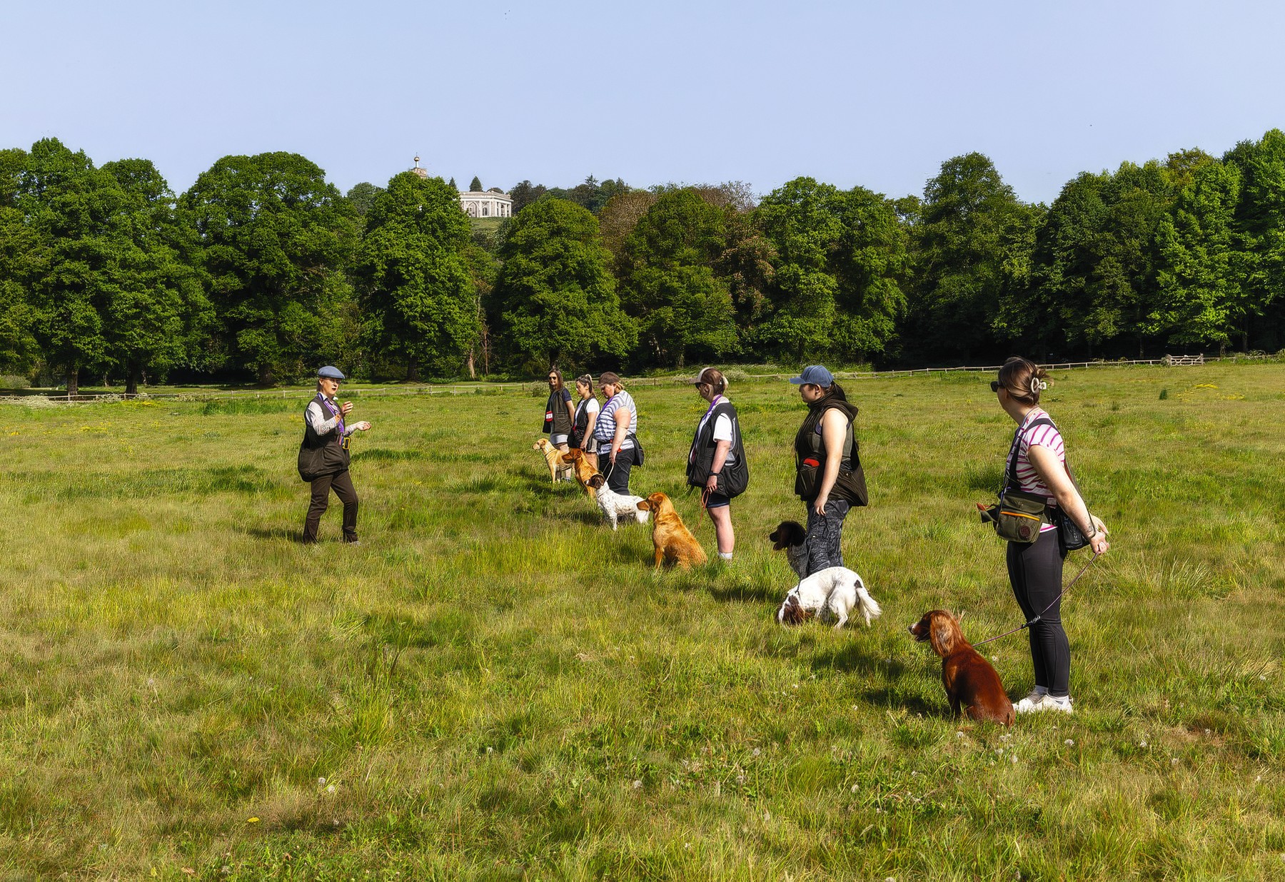 The Country Girls UK handlers and their gundogs training in a Buckinghamshire field