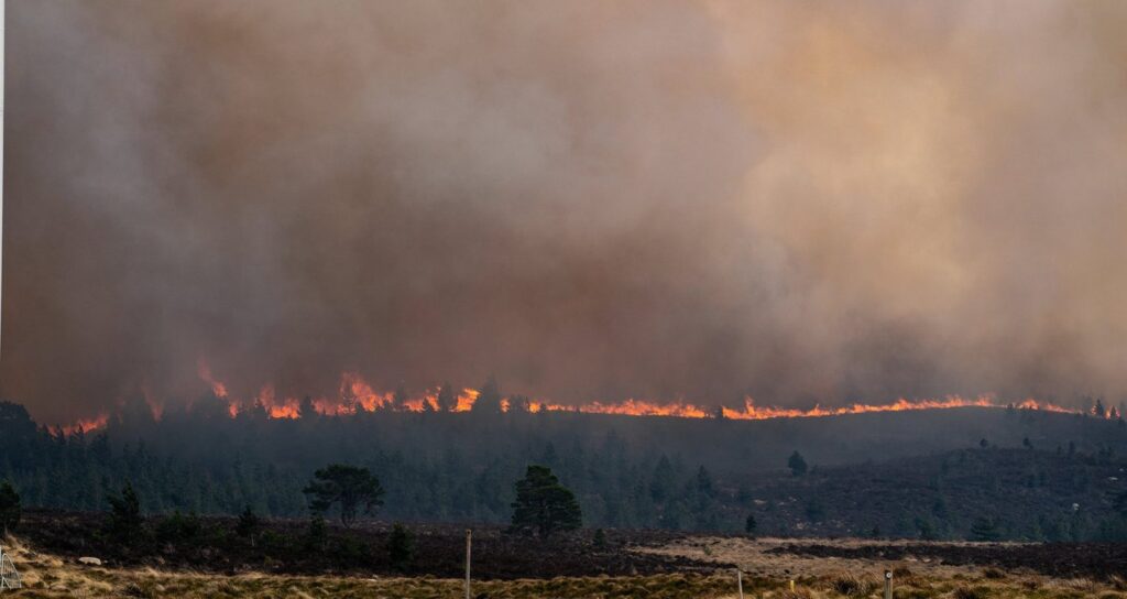 Wildfire response cannot run on goodwill alone, estates warn