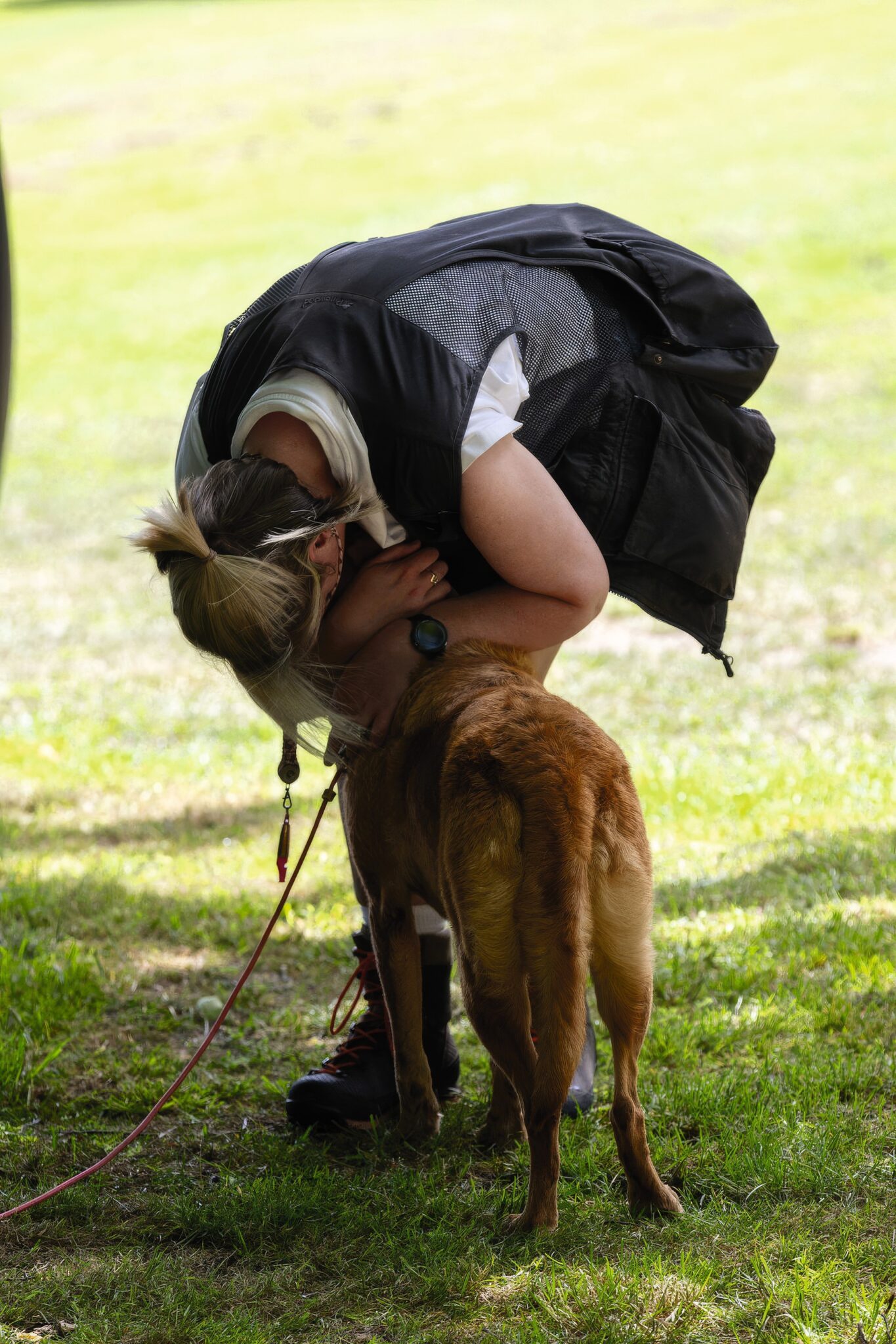 A handler rewarding her gundog with a cuddle after a training exercise