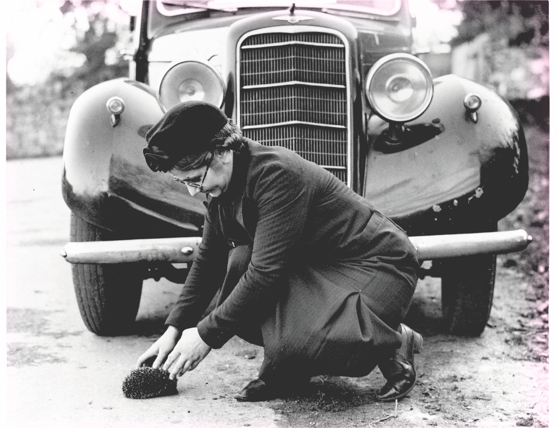 A woman in 1930s dress lifting a hedgehog from the road in front of a car
