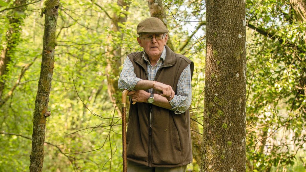Country Diary: why tending pheasant poults has been the best medicine