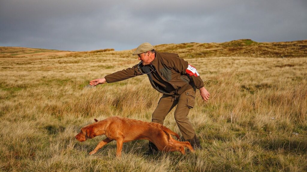 Ten minutes a day is enough, says trainer of 13 field trial champions