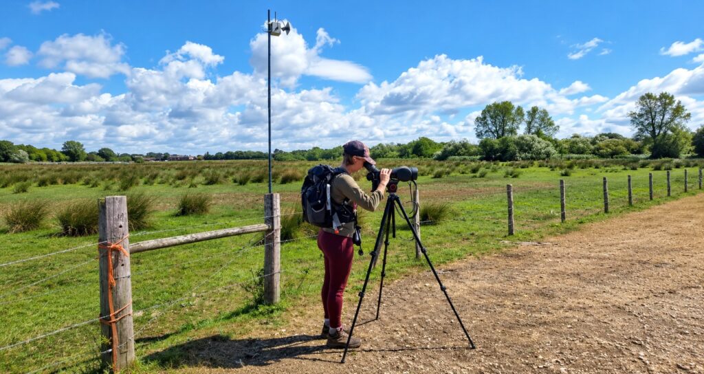 GWCT appeals for funds to keep science in the gamebird debate