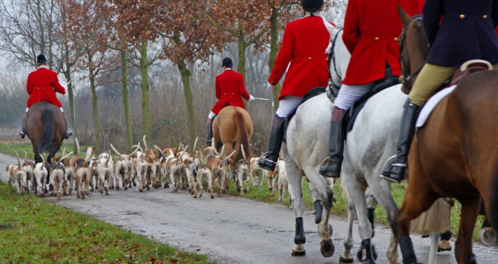 National Trail Hunting Day 2026: four flagship meets on 17 October