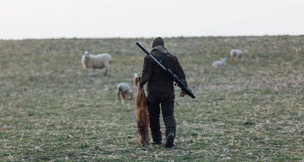 GWCT urges Defra to weigh real-world evidence of game management