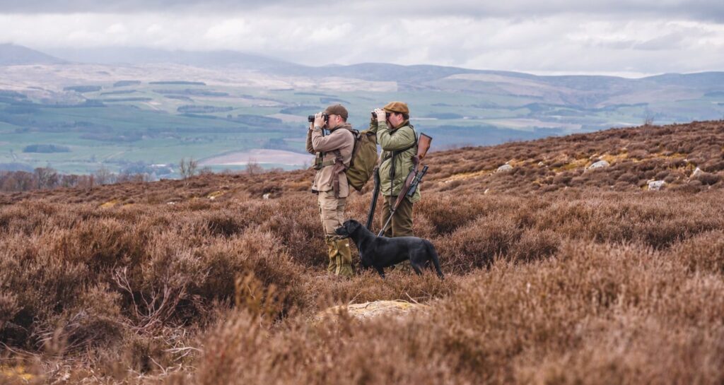 Holyrood to review access code after deer managers report conflicts