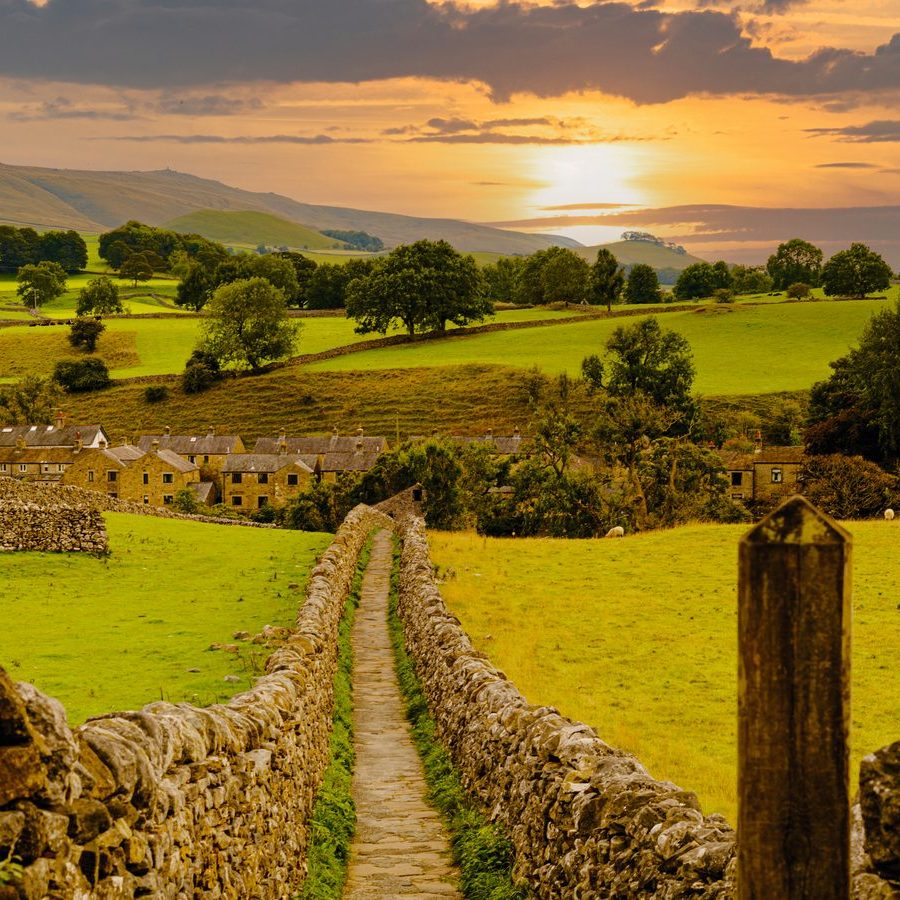 On the Campaign Trail: why licensing gamebird shooting would be Labour's most damaging rural policy
