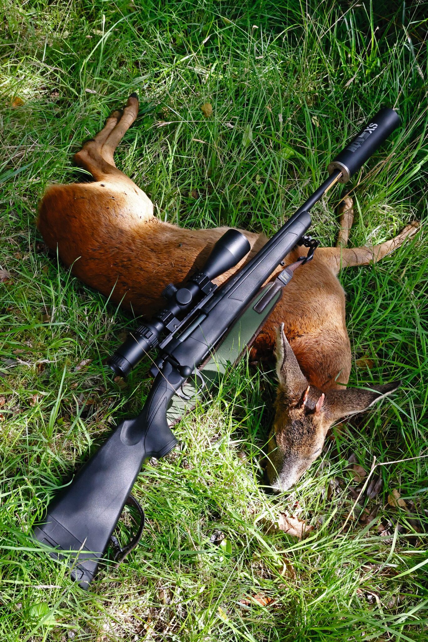 CVA Cascade rifle with moderator lying across a small Scottish cull roebuck in long grass