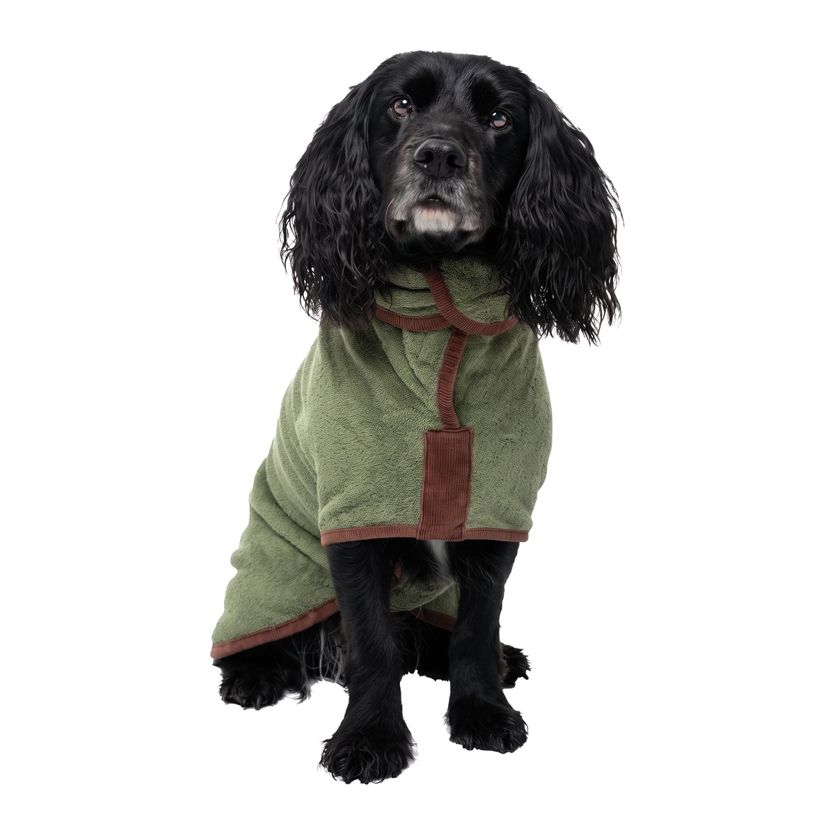 A black cocker spaniel wearing a green Ruff and Tumble Country Dog drying coat