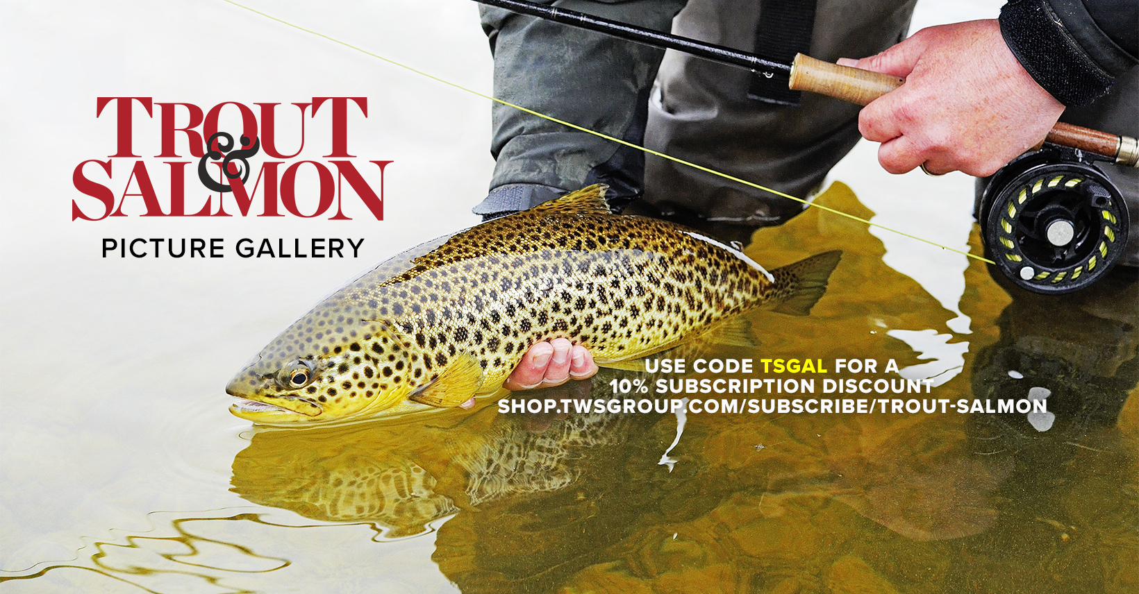 trout net worth