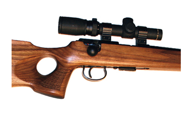 .17 hmr bolt-action rifle