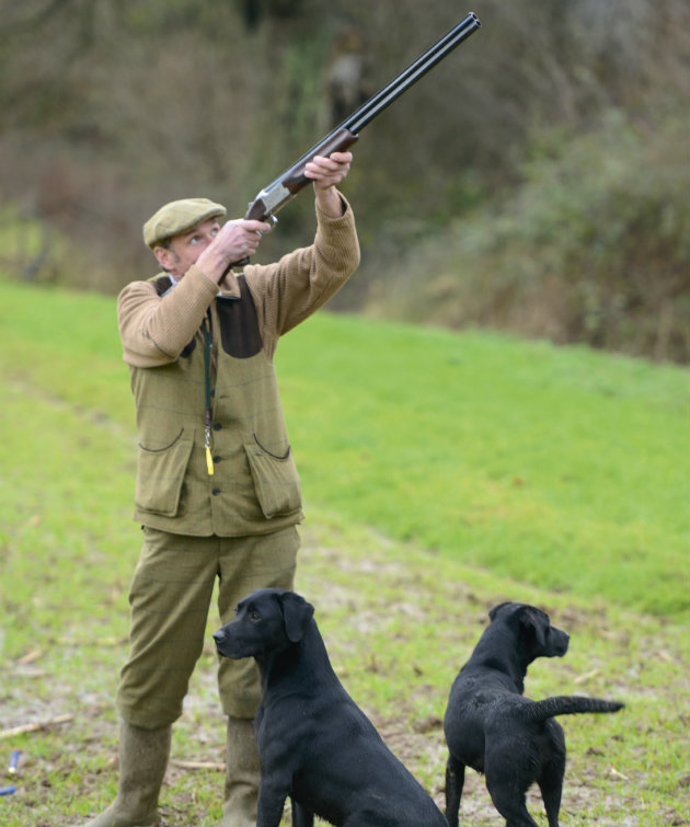 man shooting with dogs