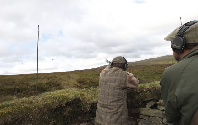 Grouse moor management
